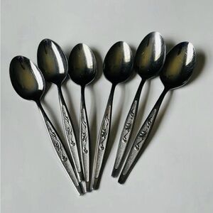Carlton Stainless Steel Flatware Set of 6 Spoons